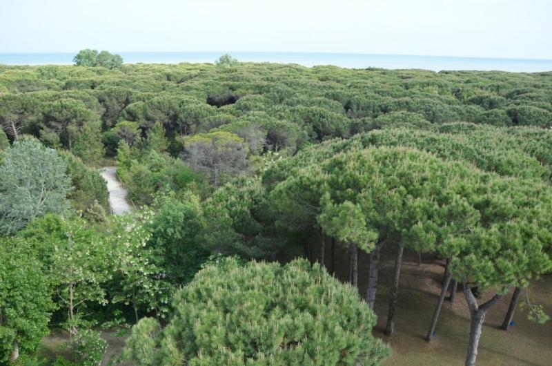 Sole Hotel Eraclea Mare